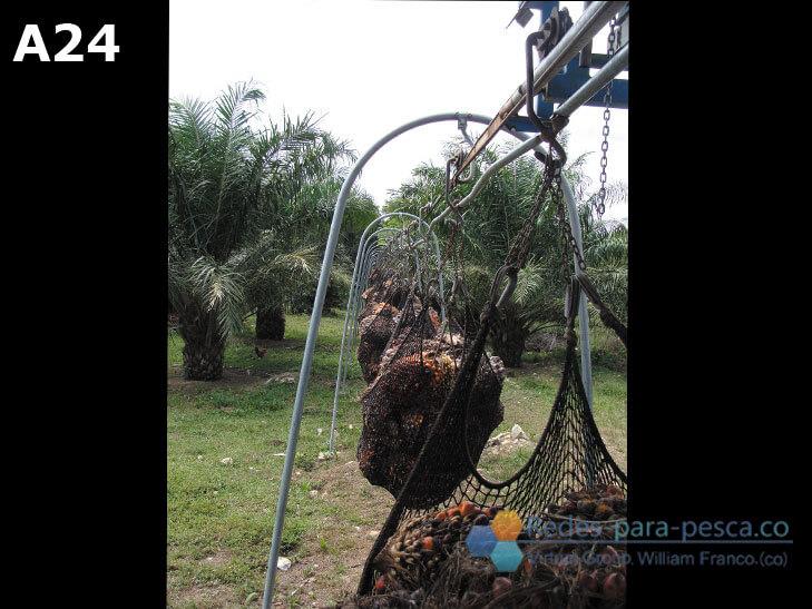 Redes – cestas – captura de fruto de palma
